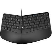 Genius Ergonomic Keyboard,RU,USB